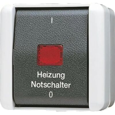 Jung 802 HW - Interruptor de calefacción 2 polos - IP44 Jung 802 HW - Interruptor de calefacción 2 polos - IP44