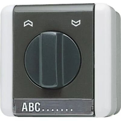 Jung 834.10 W Gris Brillante 1p Interruptor - Interruptor eléctrico Jung 834.10 W Gris Brillante 1p Interruptor - Interruptor eléctrico