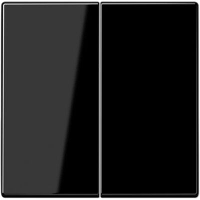 Jung LS995SW Schalter - Doppel Taster, IP44, Schwarz Jung LS995SW Schalter - Doppel Taster, IP44, Schwarz