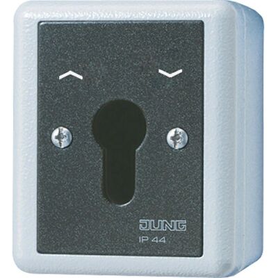 Jung Modell 834.28 G Schlüsselschalter – Schalter, Grau – IP44 Jung Modell 834.28 G Schlüsselschalter – Schalter, Grau – IP44