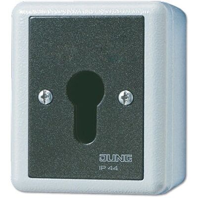 JUNG 833.18 G Interruptor con llave - Protección IP44 JUNG 833.18 G Interruptor con llave - Protección IP44