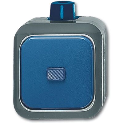 Busch-Jaeger 2601/6 WDI Blu - Interruttore Busch-Jaeger 2601/6 WDI Blu - Interruttore