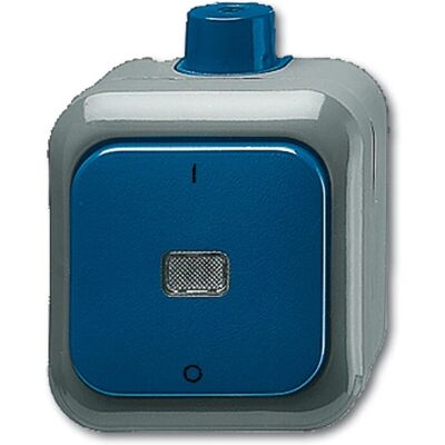 Busch-Jaeger 2601/2 WDI Interruptor - 2 polos, Azul, IP66 Busch-Jaeger 2601/2 WDI Interruptor - 2 polos, Azul, IP66