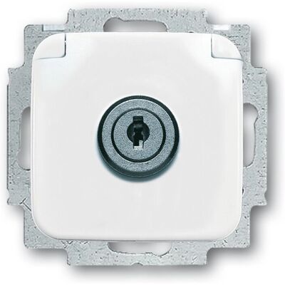 Busch-Jaeger 20 EUKSL-214-101 Steckdosen-Einsatz - SCHUKO, Weiß Busch-Jaeger 20 EUKSL-214-101 Steckdosen-Einsatz - SCHUKO, Weiß