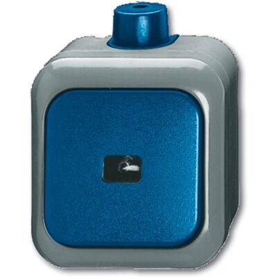 Busch-Jaeger 2621 WDI - 1-poliger Wippenschalter, Grau/Blau - IP66 - Industrie Busch-Jaeger 2621 WDI - 1-poliger Wippenschalter, Grau/Blau - IP66 - Industrie