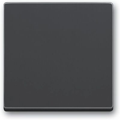 Busch-Jaeger 1751-0-2926 Accessoire pour interrupteur électrique - Interrupteur mural, anthracite - Publicité Busch-Jaeger 1751-0-2926 Accessoire pour interrupteur électrique - Interrupteur mural, anthracite - Publicité