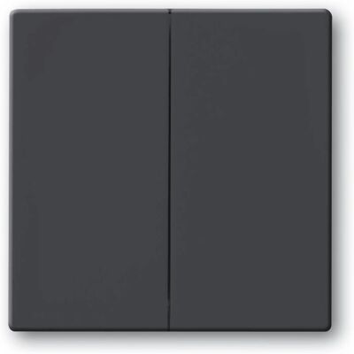Busch-Jaeger Vippa/plataforma de pared Interruptor Impressivo - Interruptor de pared - Conmutador de luz Busch-Jaeger Vippa/plataforma de pared Interruptor Impressivo - Interruptor de pared - Conmutador de luz