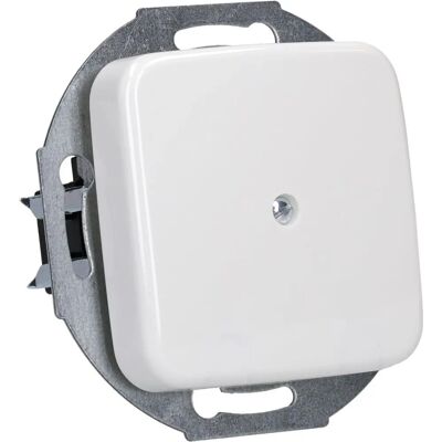 Busch-Jaeger Zentralscheibe 2527-214 - Cable Outlet Cover - Glazed, IP20, Alpin White Busch-Jaeger Zentralscheibe 2527-214 - Cable Outlet Cover - Glazed, IP20, Alpin White