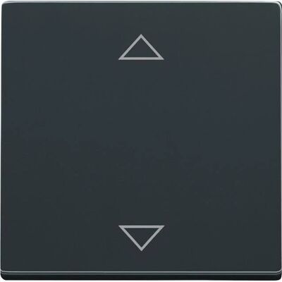 Busch-Jaeger Modell 6430-81-102 Jalousie Steuerung - Anthrazit Busch-Jaeger Modell 6430-81-102 Jalousie Steuerung - Anthrazit