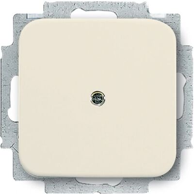 Busch-Jaeger Ivory 2538-212 - Piastra di copertura elettrica Busch-Jaeger Ivory 2538-212 - Piastra di copertura elettrica