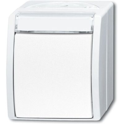 Busch-Jaeger 2601/6 WN-54 Wandschalter - Wechsel Busch-Jaeger 2601/6 WN-54 Wandschalter - Wechsel