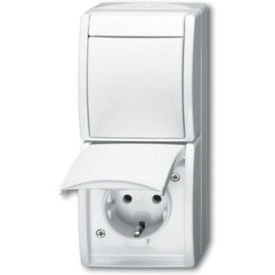 Busch-Jaeger 2601/6/20 EW-54 Interruttore e Presa a Parete Busch-Jaeger 2601/6/20 EW-54 Interruttore e Presa a Parete
