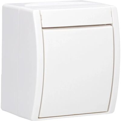 Busch-Jaeger BJ 2601-2 W-54 - 2-poliger Schalter, Aufputz Busch-Jaeger BJ 2601-2 W-54 - 2-poliger Schalter, Aufputz