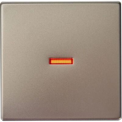 Busch-Jaeger 1789-866 Stainless Steel Switch Cover Plate - IP20 Switch/Push Button Busch-Jaeger 1789-866 Stainless Steel Switch Cover Plate - IP20 Switch/Push Button