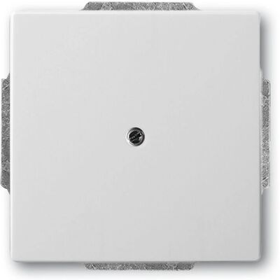 Busch-Jaeger Edelstahl Blindabdeckung - IP20 Busch-Jaeger Edelstahl Blindabdeckung - IP20