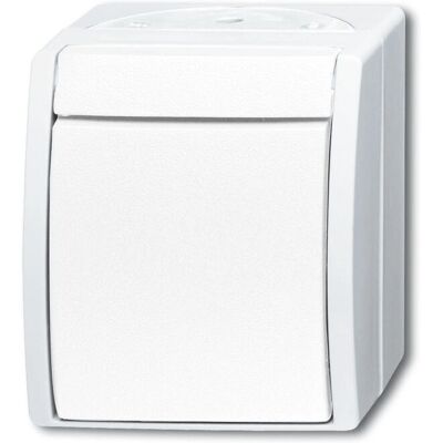 Busch-Jaeger 2621 W-54 Interrupteur Blanc Alpin Busch-Jaeger 2621 W-54 Interrupteur Blanc Alpin