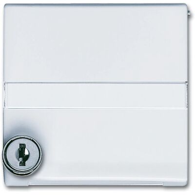 Busch-Jaeger 2118 GKSLN/11-34 Anneau de couverture avec couvercle verrouillable - Accessoire électrique - Publicité Busch-Jaeger 2118 GKSLN/11-34 Anneau de couverture avec couvercle verrouillable - Accessoire électrique - Publicité