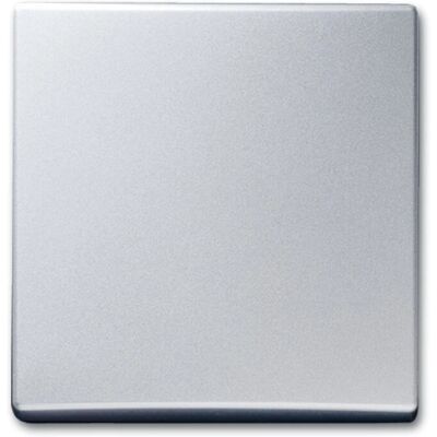 Busch-Jaeger 2106-33 Wippe alusilber - IP44 Busch-Jaeger 2106-33 Wippe alusilber - IP44