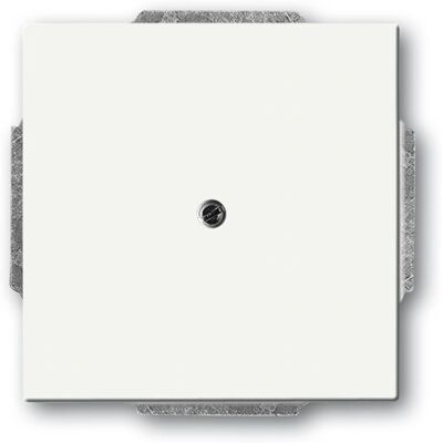 Busch-Jaeger 1742-884 Piastra Centrale - Montaggio a Parete, IP20, Bianco Busch-Jaeger 1742-884 Piastra Centrale - Montaggio a Parete, IP20, Bianco