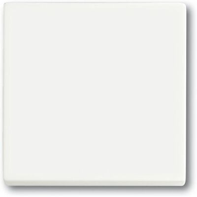 Busch-Jaeger 1751-0-3027 Interrupteur Lumineux en Plastique Blanc - Interrupteur - Publicité Busch-Jaeger 1751-0-3027 Interrupteur Lumineux en Plastique Blanc - Interrupteur - Publicité