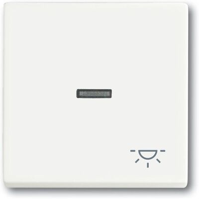 Busch-Jaeger 1751-0-3031 Interruptor de Luz Blanco Busch-Jaeger 1751-0-3031 Interruptor de Luz Blanco