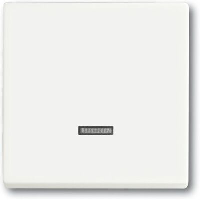 Busch-Jaeger 6543-884-101 Memory Dimmer Schalter Busch-Jaeger 6543-884-101 Memory Dimmer Schalter
