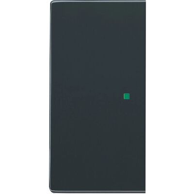 Busch-Jaeger 6109/03-212 Schalter - Anthrazit - Glänzende Oberfläche - Schalter Busch-Jaeger 6109/03-212 Schalter - Anthrazit - Glänzende Oberfläche - Schalter