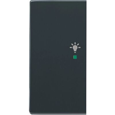 Busch-Jaeger 6109/03-214 - Elektroschalter - Anthrazit - Busch-Jaeger Busch-Jaeger 6109/03-214 - Elektroschalter - Anthrazit - Busch-Jaeger