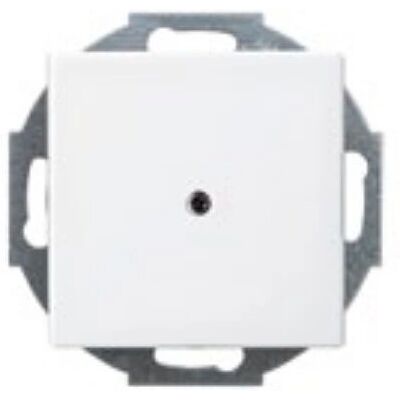 Busch-Jaeger 1710-0-4061 Wandplatte - Schalterabdeckung - IP20 Busch-Jaeger 1710-0-4061 Wandplatte - Schalterabdeckung - IP20