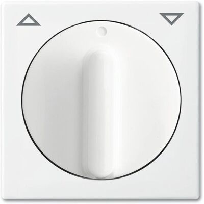 Busch-Jaeger 2542 DR-914 Blanco - Placa de control Busch-Jaeger 2542 DR-914 Blanco - Placa de control