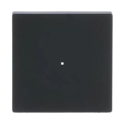 Busch-Jaeger 6230-10-885 Schwarz - Wippe Busch-Jaeger 6230-10-885 Schwarz - Wippe