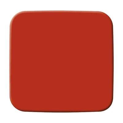 Busch-Jaeger Modell 2506-217-101 Rote Wippe - Schalter/Taster Busch-Jaeger Modell 2506-217-101 Rote Wippe - Schalter/Taster