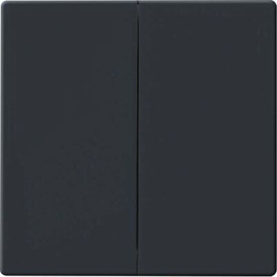 Busch Jaeger 6736 FoH-81 - Interrupteur sans fil pour Hue & Bluetooth - Publicité Busch Jaeger 6736 FoH-81 - Interrupteur sans fil pour Hue & Bluetooth - Publicité