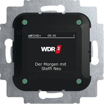 Busch-Jaeger Modell 8215 U-101 DAB+ Radio - Stereo, Unterputz Busch-Jaeger Modell 8215 U-101 DAB+ Radio - Stereo, Unterputz