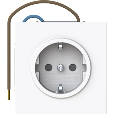BUSCH-JAEGER BJ 20 EUCBLI-44G - Safety+ Outlet Protector BUSCH-JAEGER BJ 20 EUCBLI-44G - Safety+ Outlet Protector
