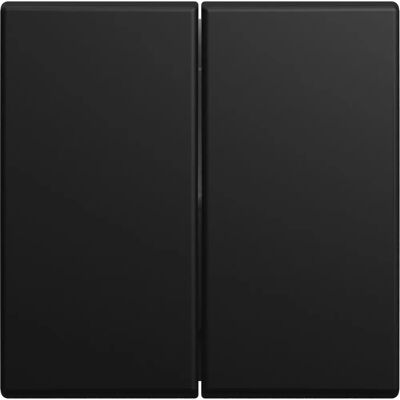 Busch-Jaeger 2CKA001731A4040 Wandplate - Schalterabdeckung - Schwarz Busch-Jaeger 2CKA001731A4040 Wandplate - Schalterabdeckung - Schwarz