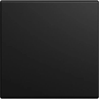 Busch-Jaeger - 2CKA001731A4043 - Negro - Placa de pared Busch-Jaeger - 2CKA001731A4043 - Negro - Placa de pared