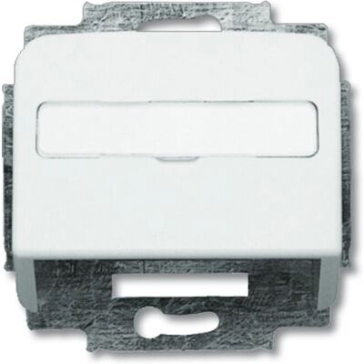 Busch-Jaeger 1724-0-1663 Wandplatte - Datenanschluss IP20 Busch-Jaeger 1724-0-1663 Wandplatte - Datenanschluss IP20