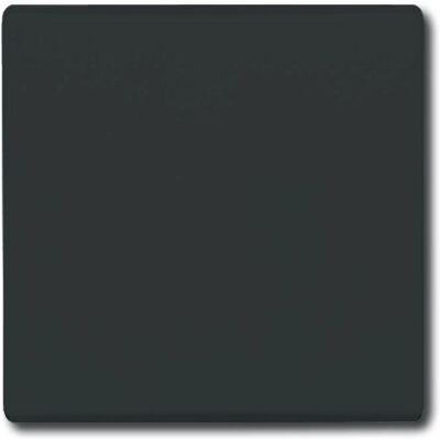 Busch-Jaeger 2106-35 Wippe anthrazit - IP44 Busch-Jaeger 2106-35 Wippe anthrazit - IP44