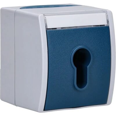 Busch-Jaeger Modell 2733SLW-53 Schlüsselschalter - Schalter Busch-Jaeger Modell 2733SLW-53 Schlüsselschalter - Schalter