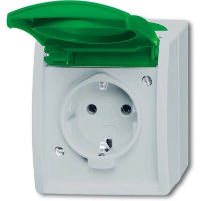 Busch-Jaeger 20 EWN-13-53 Steckdose - IP44 Schuko, Grün/Grau Busch-Jaeger 20 EWN-13-53 Steckdose - IP44 Schuko, Grün/Grau