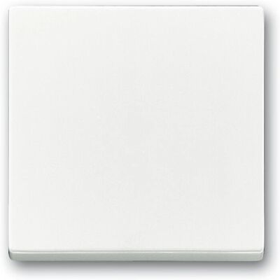 Busch-Jaeger White Equipment Dust Cover - Switch/Push Button - IP20 Busch-Jaeger White Equipment Dust Cover - Switch/Push Button - IP20