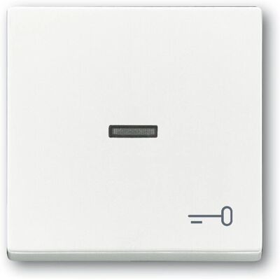 Busch-Jaeger 1789 TR-84 Bianco - Interruttore Busch-Jaeger 1789 TR-84 Bianco - Interruttore