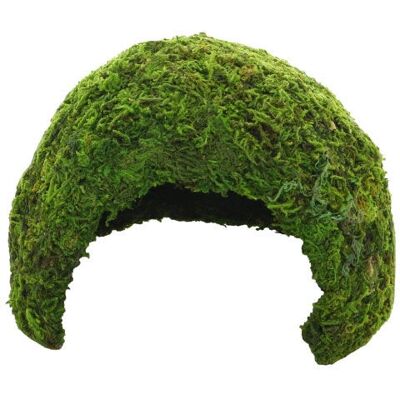 HOBBY Jungle Cave 11x11x9cm - Terrarium Accessory HOBBY Jungle Cave 11x11x9cm - Terrarium Accessory