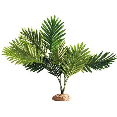 Hobby Rośliny Palmy - Roślina do Terrarium dla Zwierząt Tropikalnych Hobby Rośliny Palmy - Roślina do Terrarium dla Zwierząt Tropikalnych