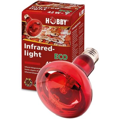 HOBBY Lampe Infrarouge 60W HOBBY Lampe Infrarouge 60W