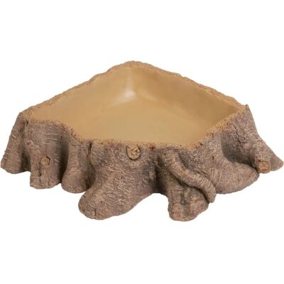 Ecuelle Stump 2 21x21x5 Cm Ecuelle Stump 2 21x21x5 Cm