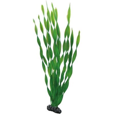 HOBBY Aquarium Dekoration Grün - Aquarium Dekoration HOBBY Aquarium Dekoration Grün - Aquarium Dekoration