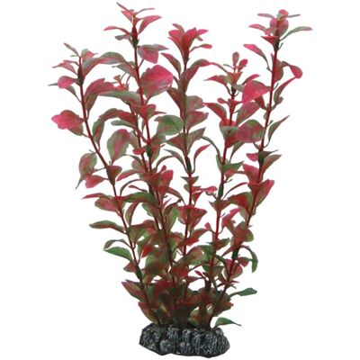 HOBBY Ludwigia - 25 cm - Acciaio inossidabile - Ludwigia HOBBY Ludwigia - 25 cm - Acciaio inossidabile - Ludwigia
