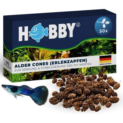 Hobby Alder Cones 50 Pieces - Fish, Maintenance, Disease Control Hobby Alder Cones 50 Pieces - Fish, Maintenance, Disease Control